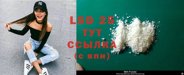 прущие грибы Верхний Тагил