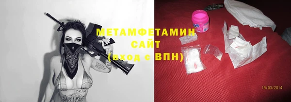 прущие грибы Верхний Тагил