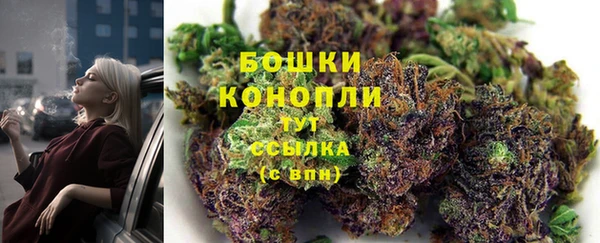 прущие грибы Верхний Тагил