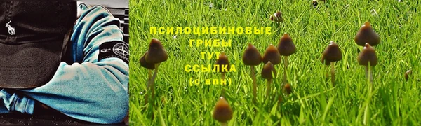а пвп мука Верхнеуральск