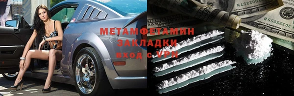 прущие грибы Верхний Тагил