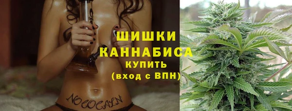 прущие грибы Верхний Тагил