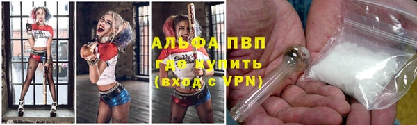 прущие грибы Верхний Тагил