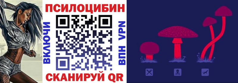 Псилоцибиновые грибы Cubensis  наркошоп  blacksprut вход  Псков 