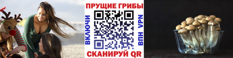 Галлюциногенные грибы MAGIC MUSHROOMS Псков